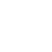 Transition Guide