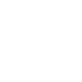 York Carriage Awaits